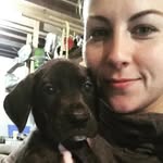 Leonard - @leonardthegreatdane - Instagram