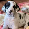 LeRoy - @leroy_jethro_dane - TikTok