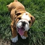 Daneley kylie reyes orosco - @daneley_kylie - Instagram