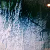 Dane Logan - @danelogan7 - TikTok