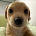 Dane Long - Facebook
