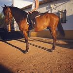 Dane Lynn - @paundasia4 - Instagram