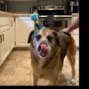 DaneeLynn - @lynn_danee - TikTok