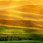 DaneMaricic99 - @dane_maricic - Instagram