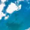 Dane Marin - @danemarin - TikTok