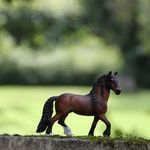 @danemark_schleich - Instagram