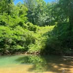 Dane Mauldin - Facebook