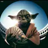 danemcintosh275 - @floridasouthwestern - TikTok