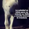Danemedina - @danemedina4 - TikTok