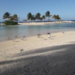 Dane Medley - @dane.medley.79 - Instagram