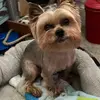Dana_Mincey - @dana_mincey - TikTok
