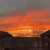 Dane Moore - @dane.moore - TikTok