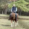 DaneMorr - @danemorr01 - TikTok