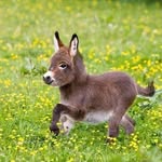 Dane müller - @dane_muller_147 - Instagram