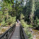 Dane Nichols - @dane.nichols.3 - Instagram