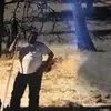 danenorthcutt - @danenorthcutt - TikTok