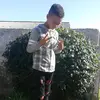 user9406054125137 - @dane_oliver1 - TikTok