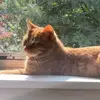 ð - @daneparkhurst - TikTok