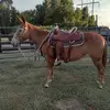 daneparker815 - @daneparker815 - TikTok