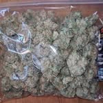 @dane_patek - Instagram
