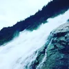 Dane pedersen - @d_pedersen - TikTok