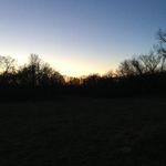 Danepierce - @danepierce5286 - Instagram