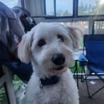 Dane Rasmussen - @great_dane13_24 - Instagram