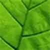 danerasmussen10 - @danerasmussen10 - TikTok