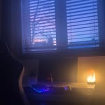 Dane Reid - @dane_reid44 - Instagram