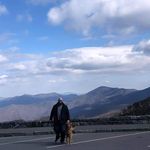 Dane Robertson - @zebigd23 - Instagram