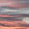 Dane Robertson - @danerobertson74 - TikTok
