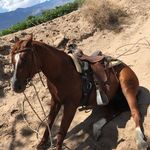 Dane Robinson - @danerobinson8152 - Instagram