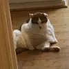 daneroche21 - @daneroche201 - TikTok