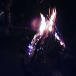 Dane Rock - @danerock813 - Instagram