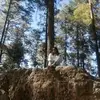 dane_rom_b - @dane_rome_b28 - TikTok