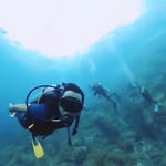 Rome Dane - @danerome - Instagram