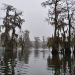 Dane Roy - @dane.roy - Instagram