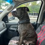 Dane Sargent - Facebook