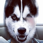 Daneschultz - @schultzdane - Instagram