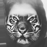 Yolo - @dane_schultz_jr_ - Instagram