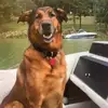 daneshannon1965 - @daneshannon1965 - TikTok