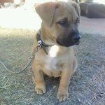 Dane Shearer - @dane_shearer_1 - Instagram