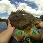 Dane Shearer - @daneshearer2017 - Instagram