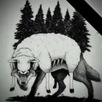 Dino Shelby - Facebook