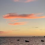 Dane Shores - @shores.o.hawaii - Instagram