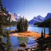 Danee Singh122 - @danee_singh - TikTok