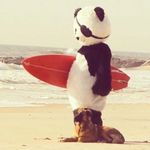 Dane Slade ΑΩ #195 - @dane.slade.731 - Instagram