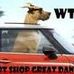Great Dane Smart Shop Sellers - Facebook