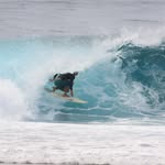 Dane Springer - @dadane__ - Instagram