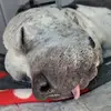 Dane Stark - @dane.stark - TikTok
